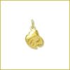 Natural Gold Nugget